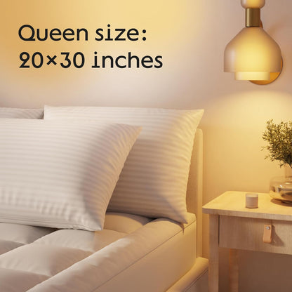Set of 4 Pillow Protectors with Zipper Queen Size - 100% Resistant to Stains, Dust & Dirt - Washable Covers for Increased Pillow Lifespan