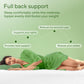 Ultra Soft Queen RV Size Mattress Topper - Viscose Made from Bamboo Pillow Top Mattress Pad for Back Pain Relief - Naturally Cooling for Hot Sleepers, Green
