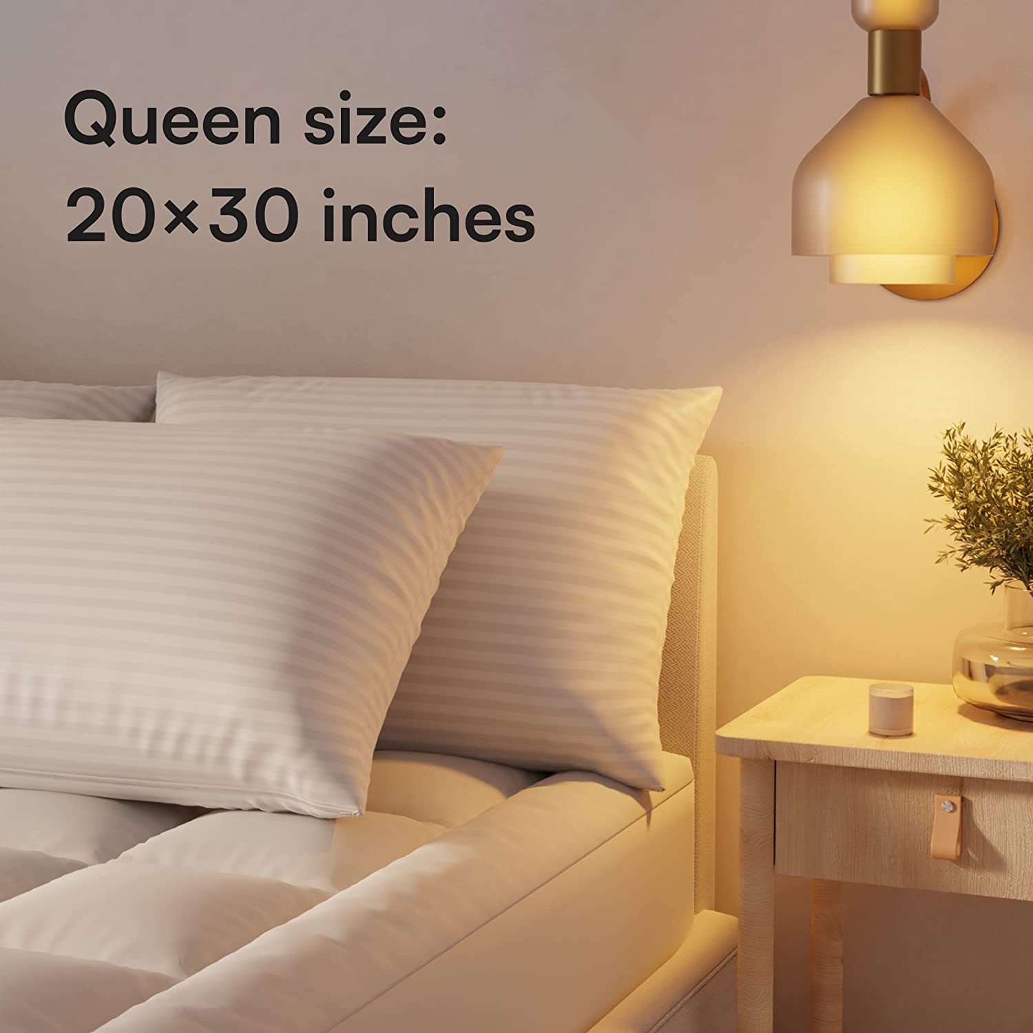 queen size: 20x30 inches